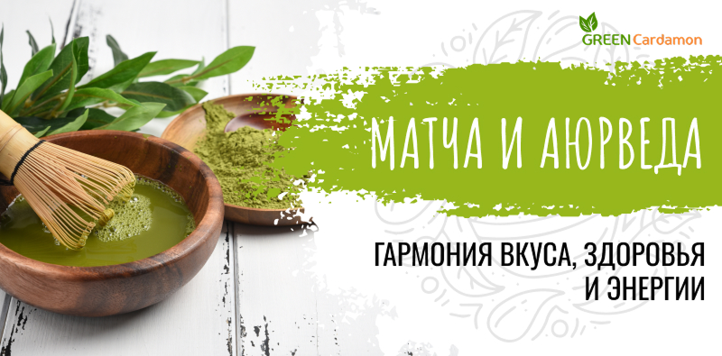 ayurveda i blagovoniya put k garmonii tela i duha