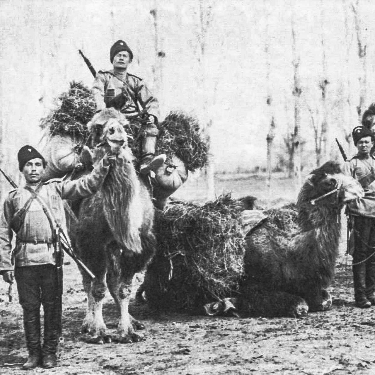 indiya segodnya nasledie imperiy i sovremennost