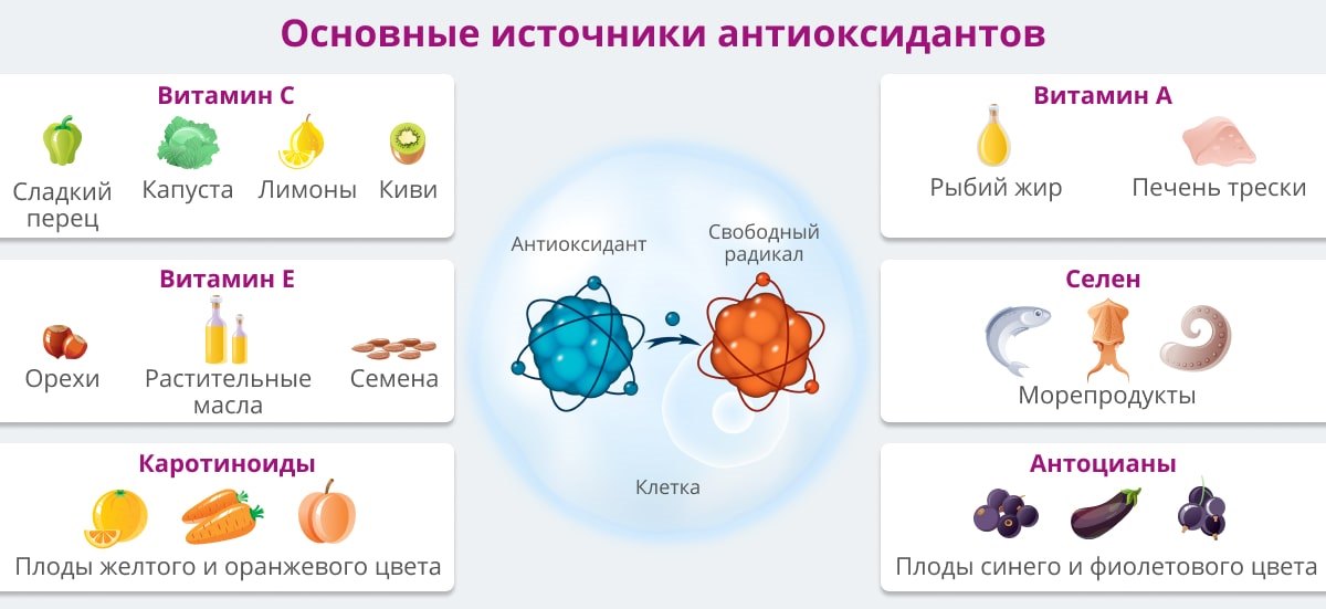 indiyskie spetsii kak prirodnye antioksidanty polza i primenenie
