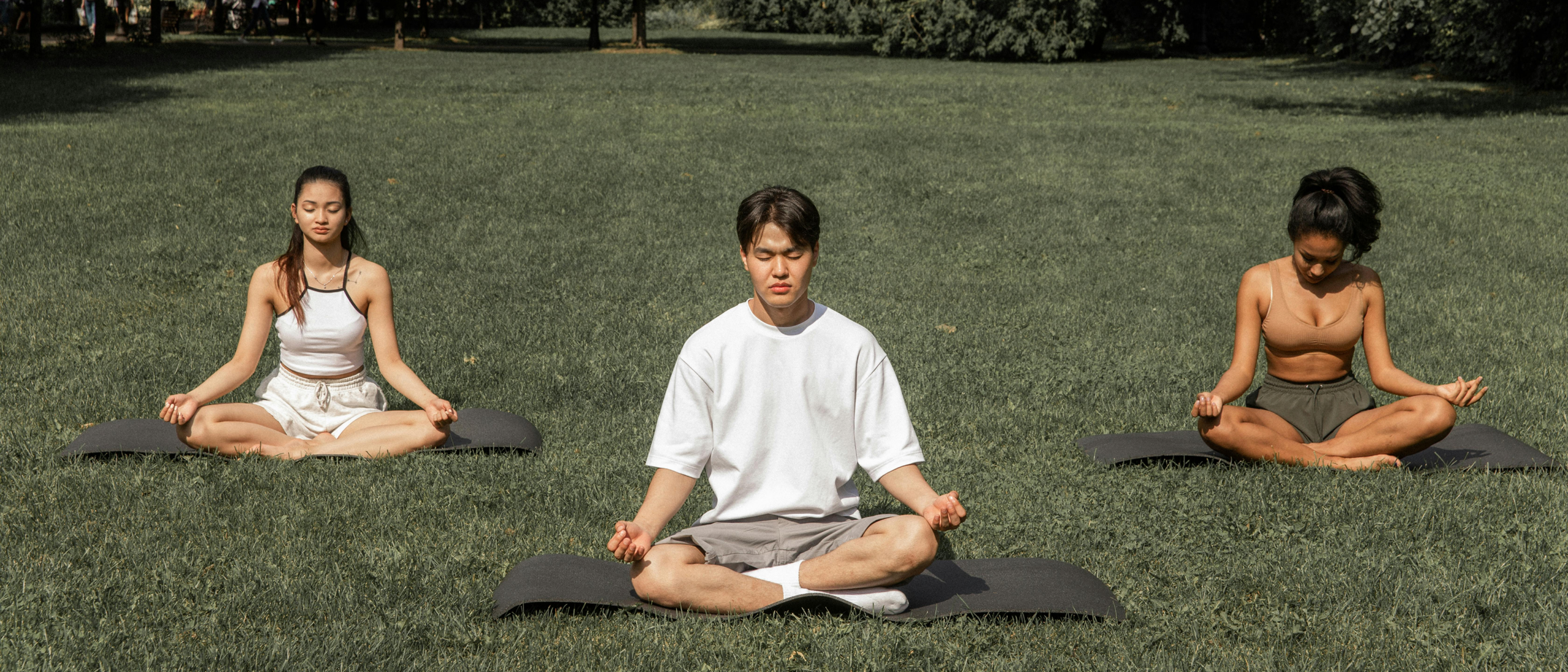 yoga i ayurveda garmonichnoe sochetanie dlya zdorovya i dolgoletiya scaled